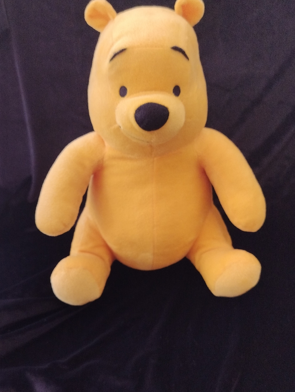 Winnie The Pooh